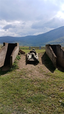 Picture 1